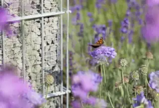 Ob als Kräutergraten oder Blumeninsel, die Anwendungsmöglichkeit sind Vielseitig. Hier mir einer zusätzlichen Drahtmatte zur feinkörnigen Befüllung.